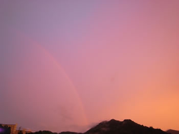 FUJI ROCK RAINBOW